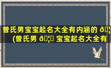 曾氏男宝宝起名大全有内涵的 🦁 (曾氏男 🦍 宝宝起名大全有内涵的字有哪些)
